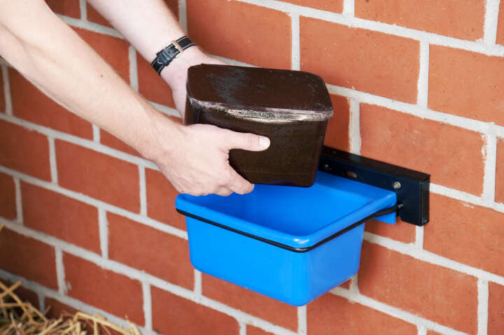 CRYSTALYX Wandhalter